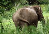 Yala National Park